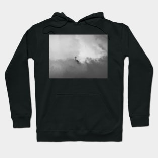 Christ The Redeemer in the Clouds Hoodie